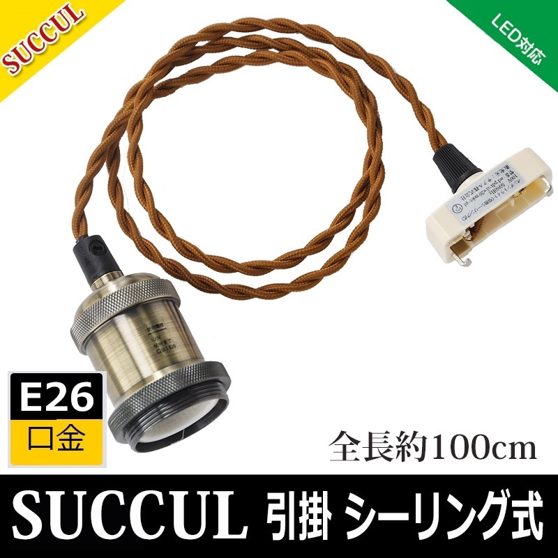 ݥѤͤꥳեå E26 ŵʤ ڥȥ饤 1 ȥڥȥ饤 ŵ