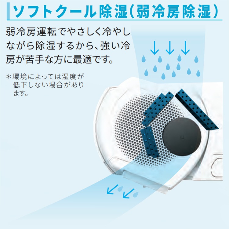  ϰ ɸչ  ٻ̥ͥ C꡼ 14 2024ǯǥ ˼  Ǯ ⤵250mmΥѥ 󥵡 ñ100V AS-C404R-W-TK