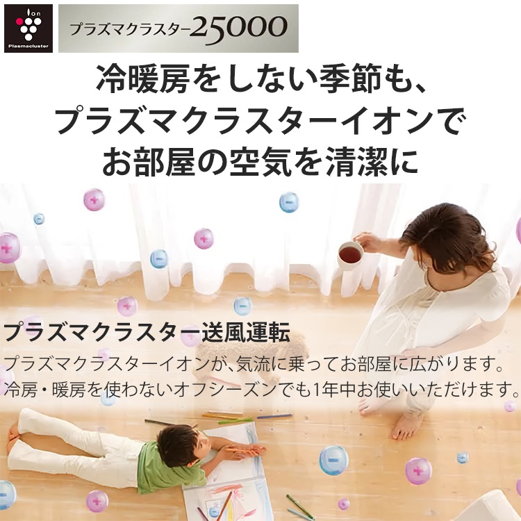 エアコン おもに 8畳 シャープ Eシリーズ 2024年モデル プラズマ 