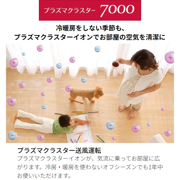 エアコン 主に6畳用 シャープ 2023年 モデル R-DHシリーズ 単相
