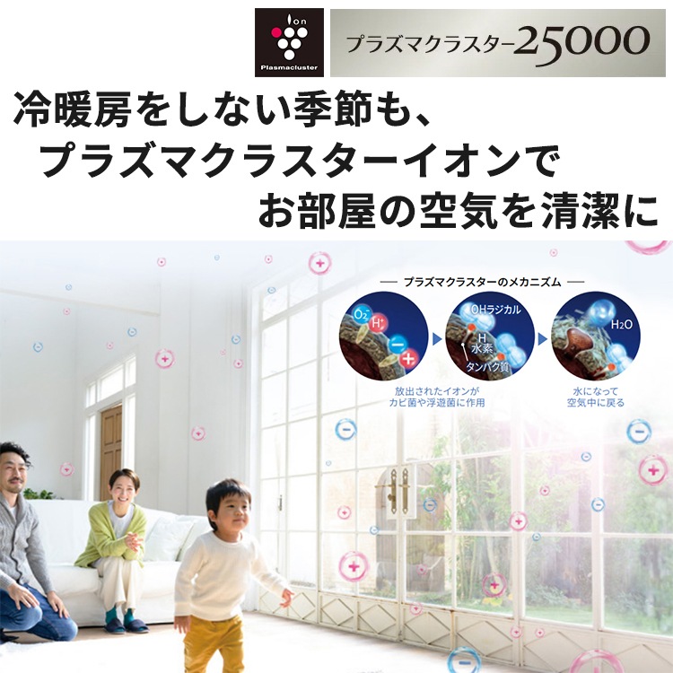 エアコン おもに6畳 シャープ Vシリーズ 2024年モデル