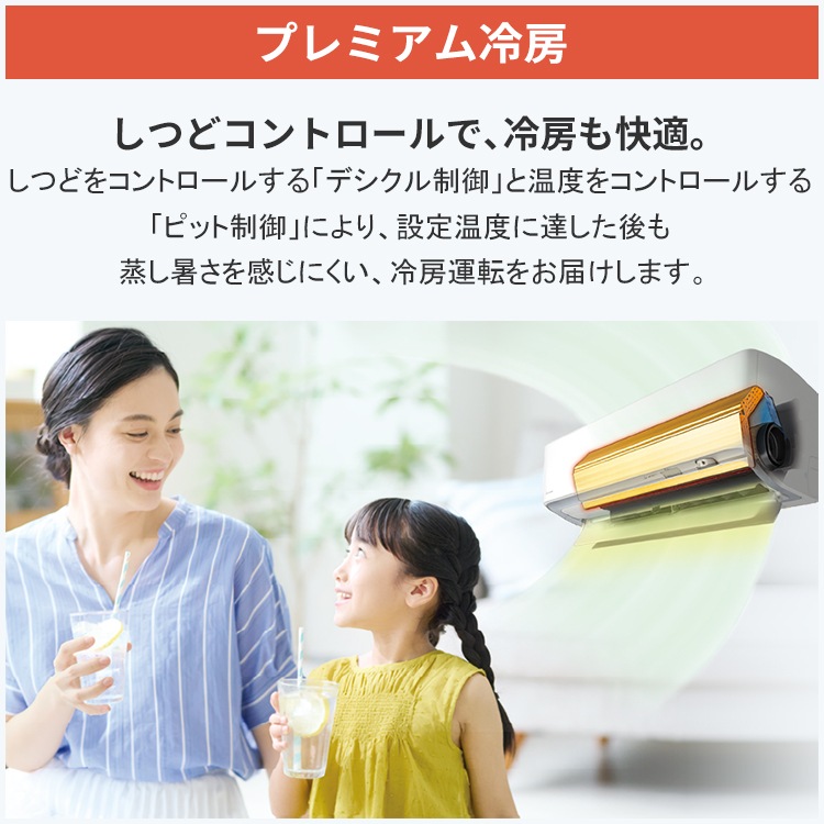 エアコン おもに29畳 室外電源タイプ ダイキン AXシリーズ