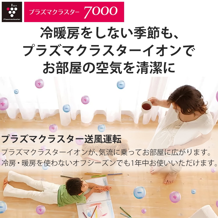 東京 神奈川地域限定 標準取付工事費込エアコン おもに6畳 シャープ DG