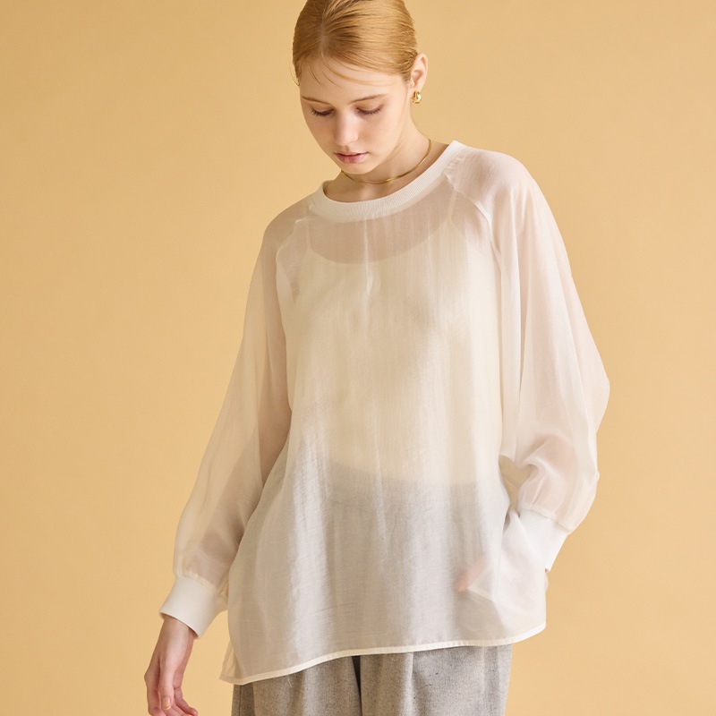 ��ͽ��˥������ߥ�֥ȥåץ�