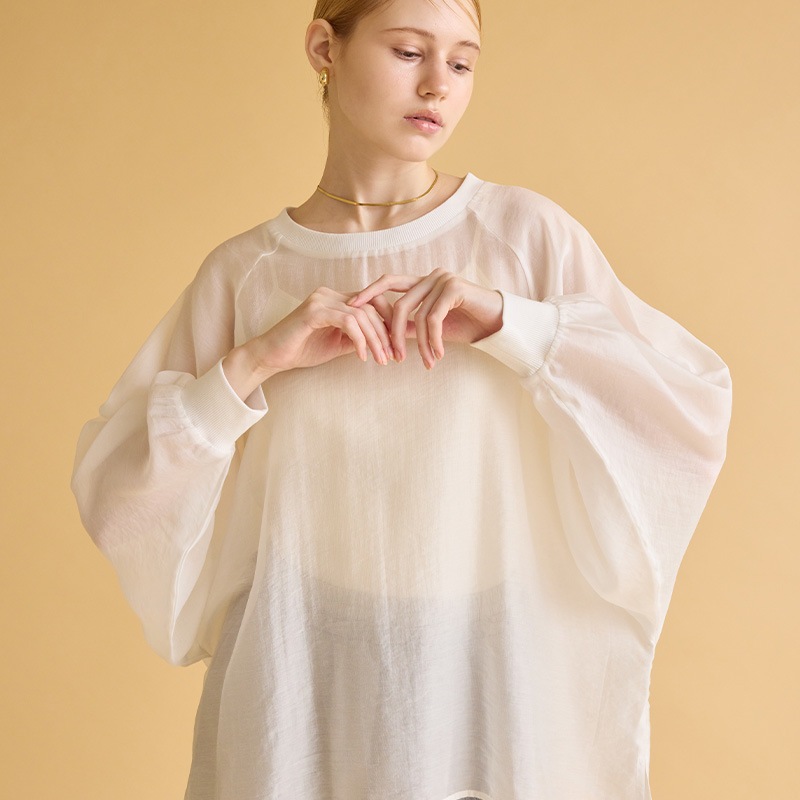 ��ͽ��˥������ߥ�֥ȥåץ�