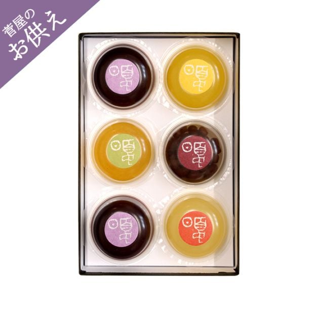 夏のお菓子 詰め合せ【ゼリー 6個】