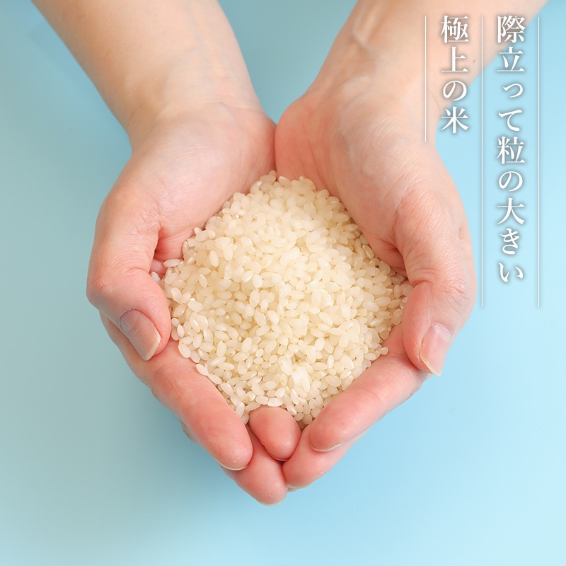 日本一連続受賞米「銀の朏（みかづき）」2kg