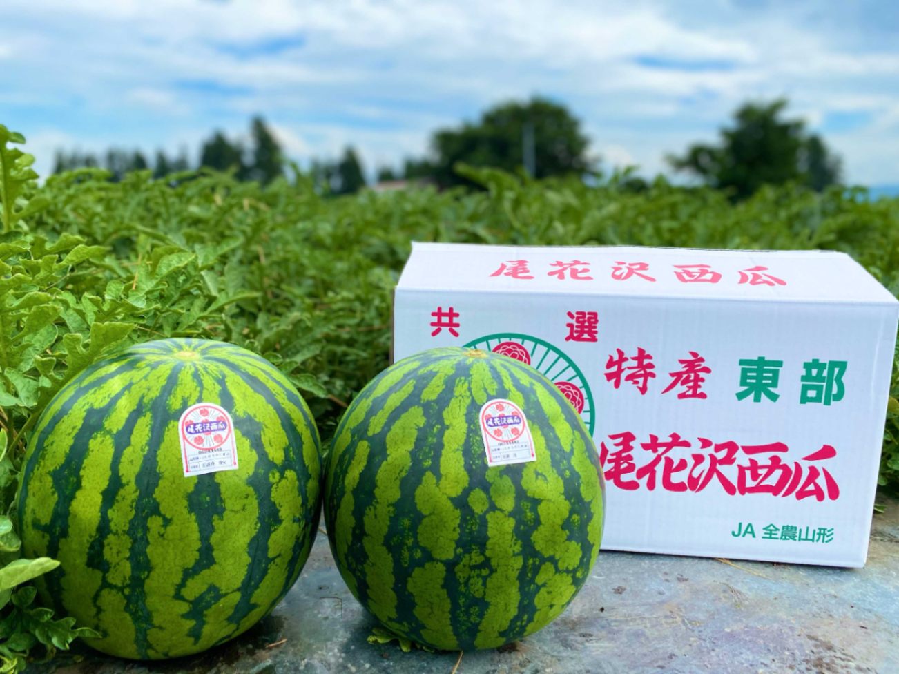 【山形県産 尾花沢スイカ】秀品4Lサイズ×2玉
