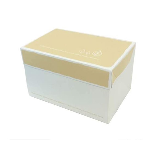 【送料無料】PAOサービス箱（リーフ）6HF 300個【高さ110ミリ　出し入れしやすい！　ナチュラルなデザイン】