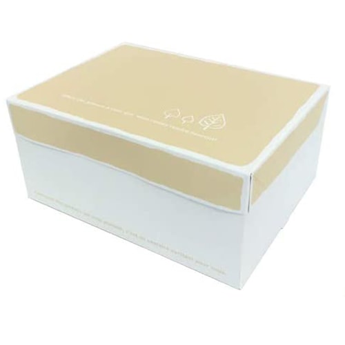 【送料無料】PAOサービス箱（リーフ）10HF 200個【高さ110ミリ　出し入れしやすい！　ナチュラルなデザイン】