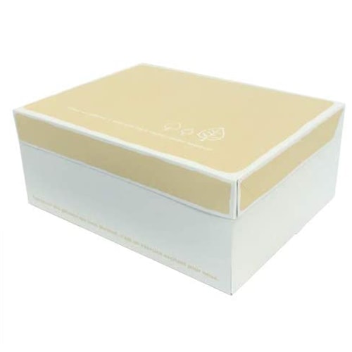 PAOサービス箱（リーフ）11HF 200個【高さ110ミリ　出し入れしやすい！ナチュラルなデザイン】