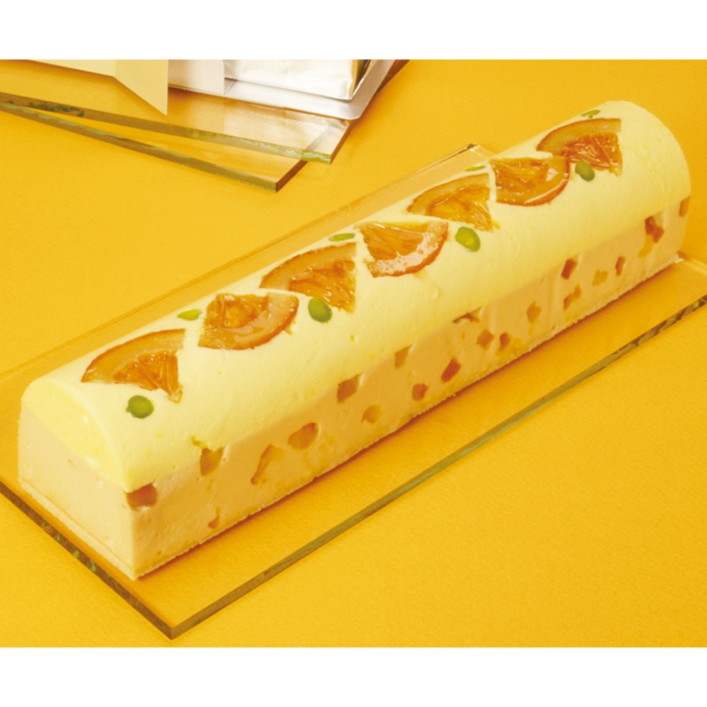 【プラスチック型】PVC 製菓型 ムール セントル 5個【便利でアートな製菓型】