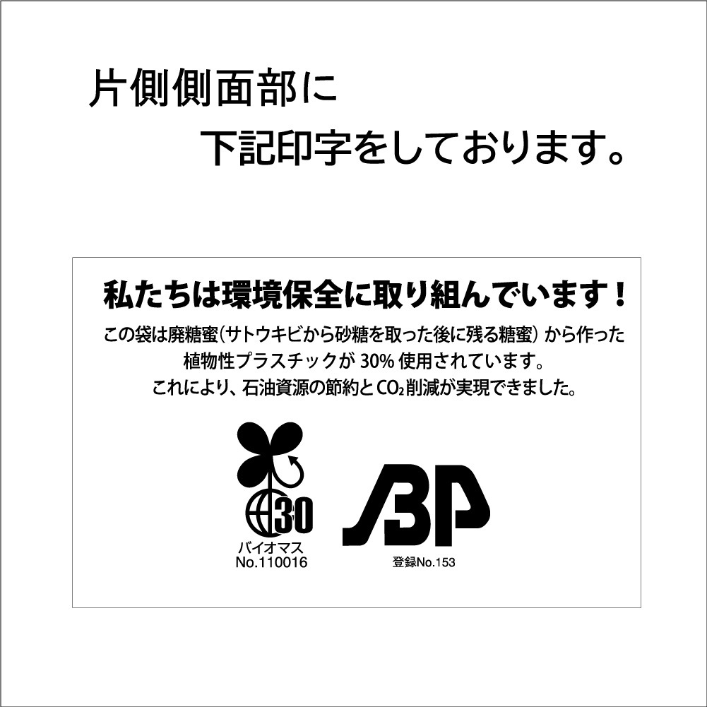 【手提げ袋】エコ PAO パティスリーバッグ L30 600枚【345×245×480H　バイオマスPE30%配合　無料配布可能　エコ対応　テイクアウト袋　持ち帰り袋】