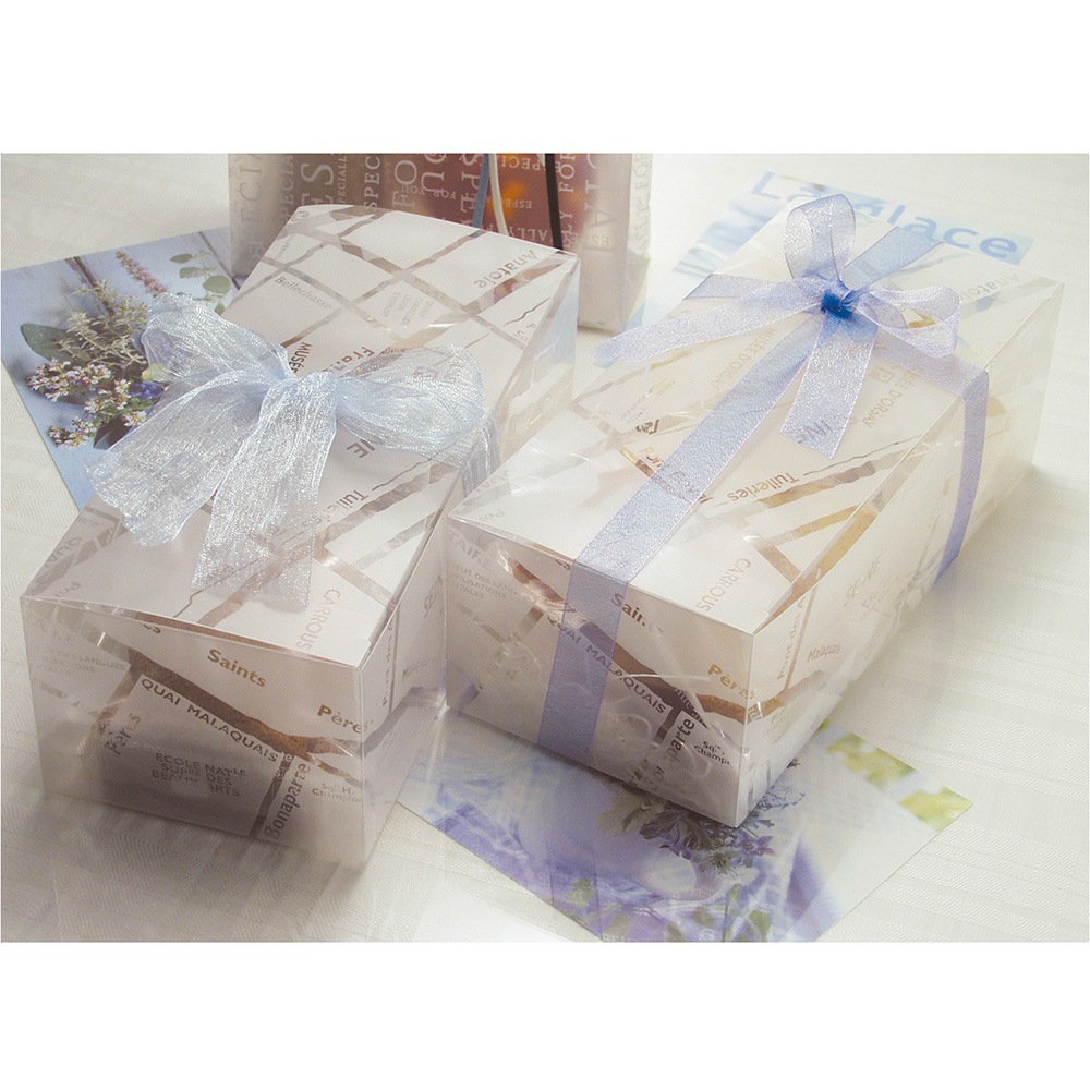 【クリアケース】アヴェニューロングＢＯＸ（内寸200×90×65H）　200個