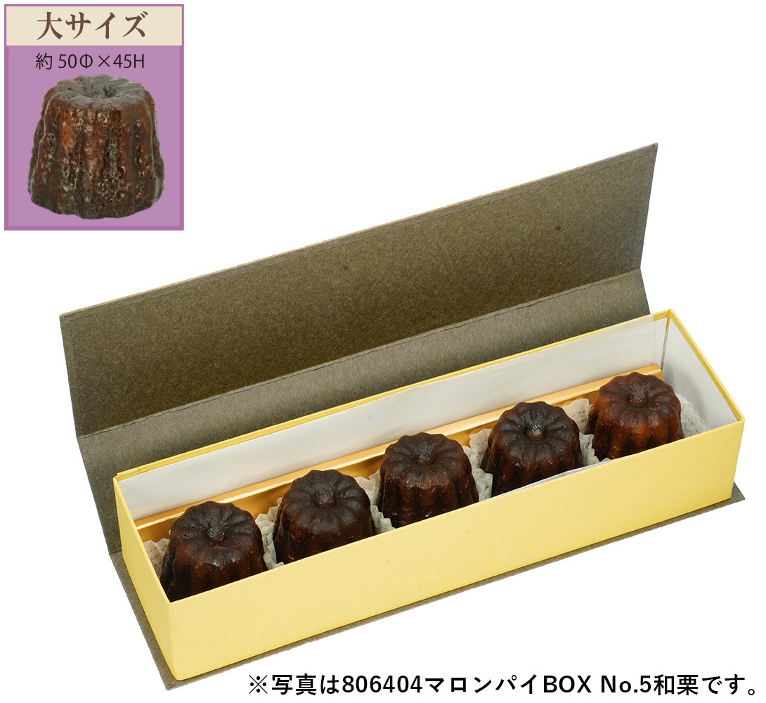 ̵ۥޥѥ BOX⣵ ·100ġڥ󥿥åŽȢʥڡȤΩƴñ