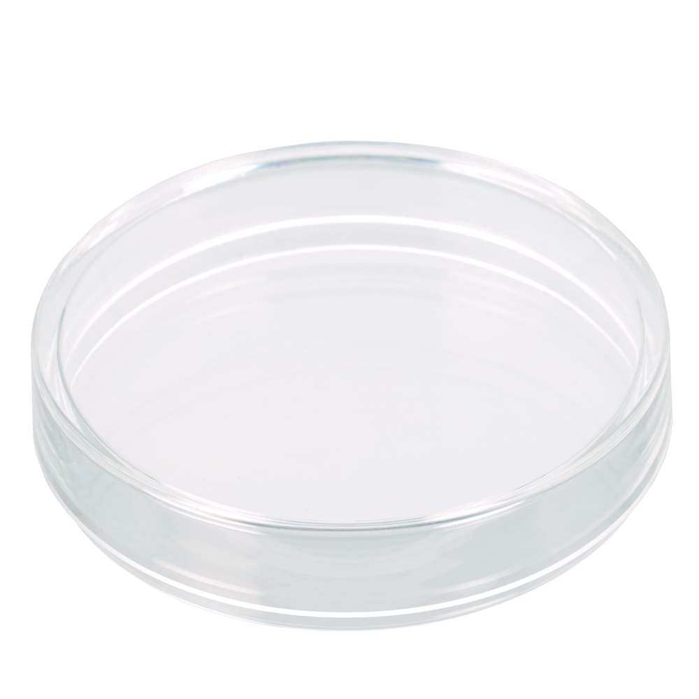 【蓋】PS 60Φ 蓋 500個