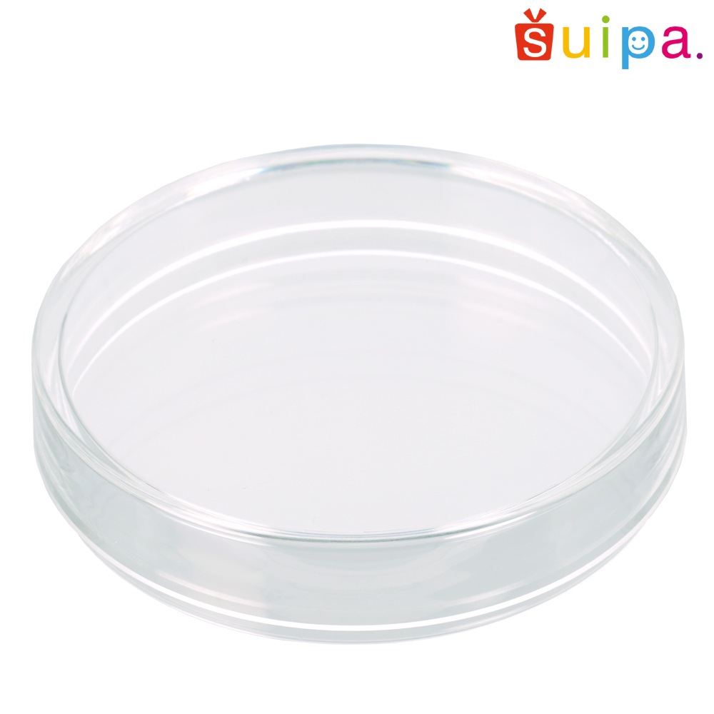 変わった、フタ物 旧車】エッ！そうだったの？知られざるブタ目の世界【愛車紹介】【極