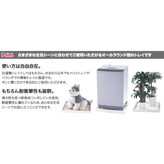 ���Ӥ�����������ʤ��ɿ�ѥ�(�������ѥ�)�����ʥͥ���ǽ�ȥ쥤��BT-8064SNW��800�ߥ�X640�ߥ�