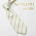 [31055-192]��������ס������ˡ����ե����ޥ�ͥ����� ���륯100%����