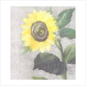 ウルト ちぎり絵完成品（花4枚）（景色3枚）教材（4点） Amazon.co.jp