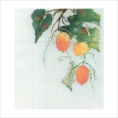 和紙のちぎり絵キット 花鳥風月 秋-No.505 からすうり F3サイズ