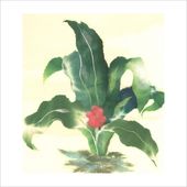ちぎり絵キット｜下絵付き（送料込）