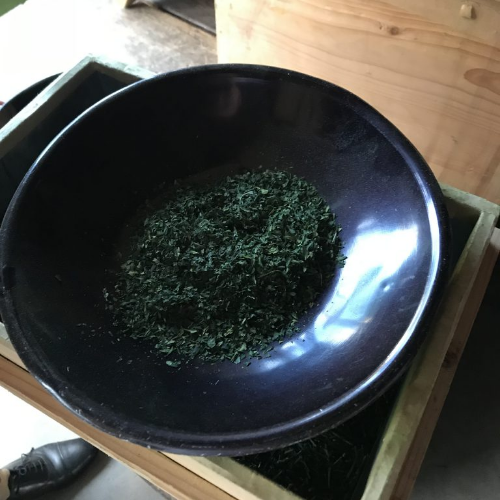 にっき　抹茶まとめ売り にっき　抹茶まとめ売り