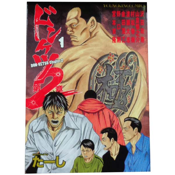 ドンケツ　第2章 全14巻セット たーし ドンケツ第2章 1 (1巻) (ヤングキングコミックス) | たーし |本