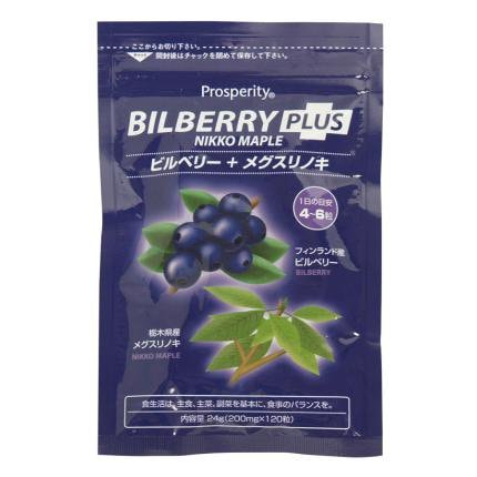 ビルベリープラスメグスリノキ