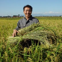生命あふれる田んぼのお米　玄米（宮城県　ひとめぼれ）2kg