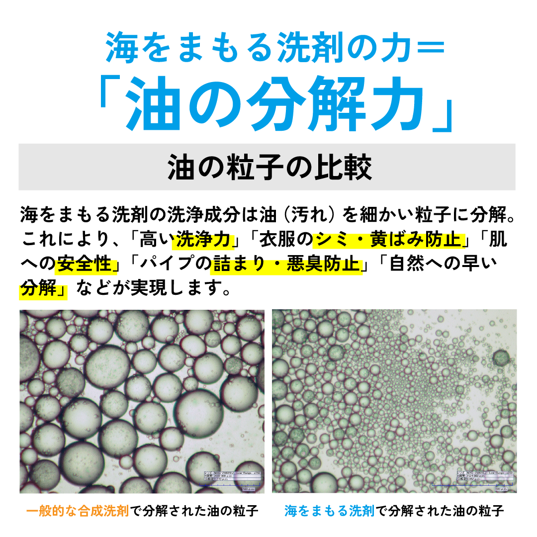 【5％OFF！+5％ポイント】海をまもる洗剤 洗濯用 ポンプボトル（無香料）