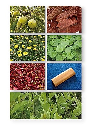 IPMハーバル・ ブレンド