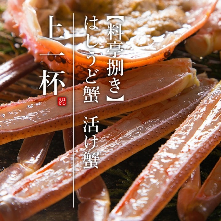 料亭捌き】はしうど蟹 1000g級 活け蟹 上1杯 （11月12日から発送開始
