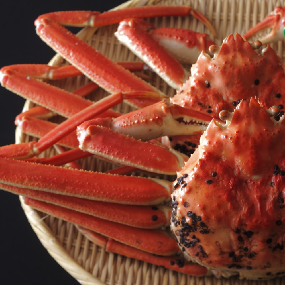 ���ʪ�ס��ò�3,000�߰���������⻫���ۤϤ����ɳ���800g�顡觤ǳ�����1�ա���11��12������ȯ�����ϡ�