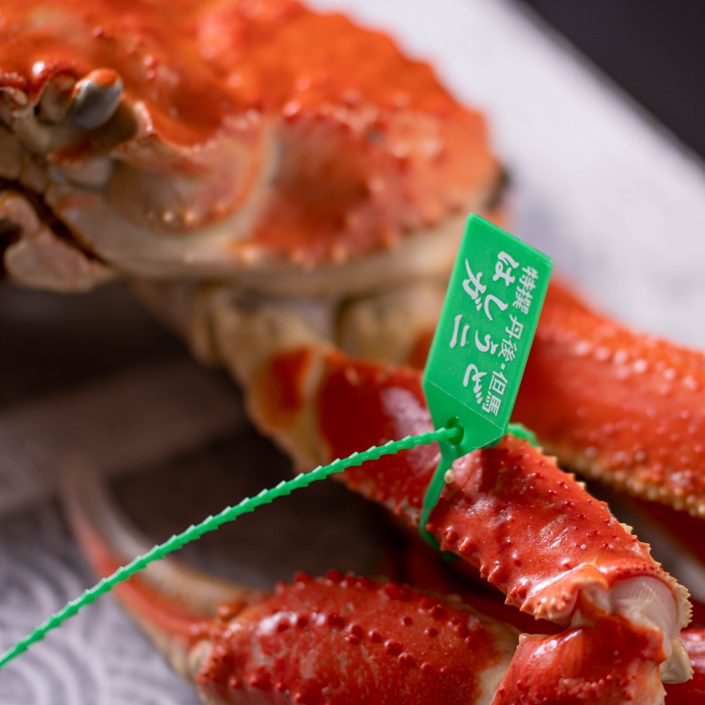 ���ʪ�ס��ò�3,000�߰���������⻫���ۤϤ����ɳ���800g�顡�褱������1�ա���11��12������ȯ�����ϡ�