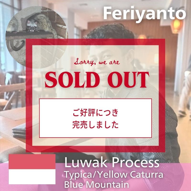 �쥸��� �ܥ�ɥ����� �ե������ ���å�