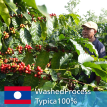 �����Ѳ��ʡۥܥ�٥���󥵥�󥽥�ס������å���� S 20kg