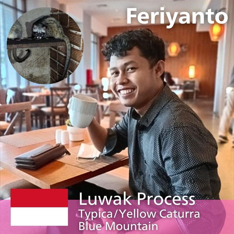 �����̲��ʡ��쥸��� �ܥ�ɥ����� �ե������ ���å� 1kg