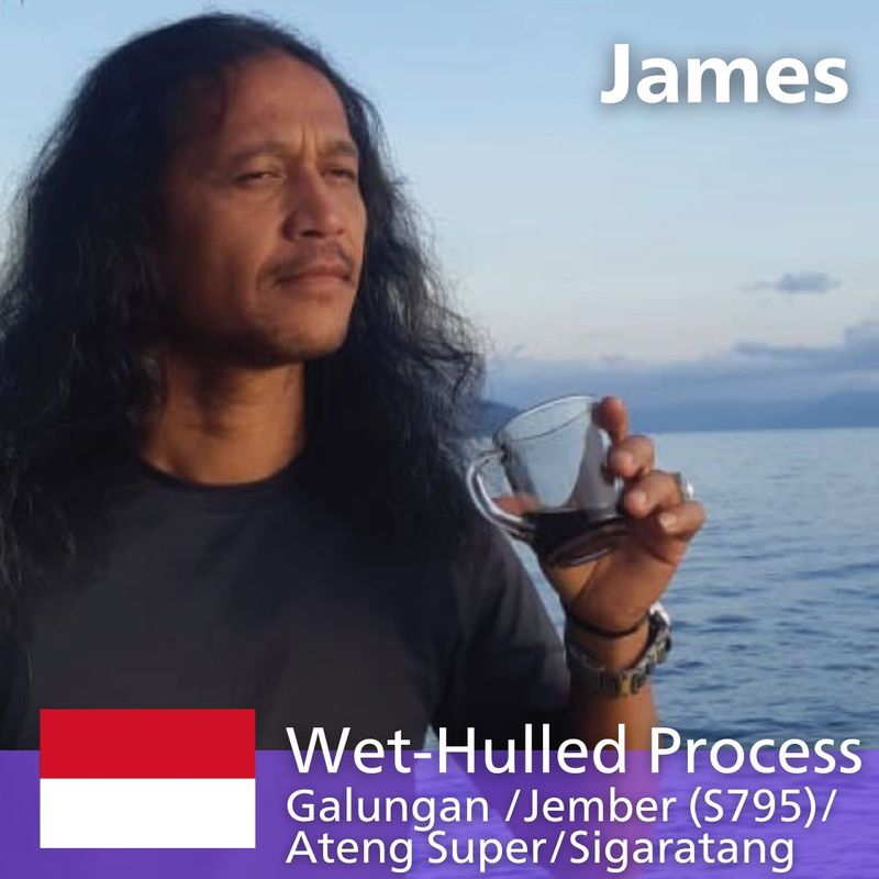 �����̲��ʡ��̥��ޥȥ� ���ȥ� �������ॹ ���ߥ����å���� 20kg