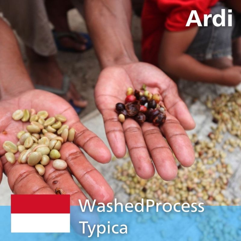 �����̲��ʡۥե����쥹 ����� ����ǥ� �����å����