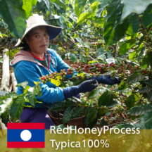 �����̲��ʡۥܥ�٥� ���󥵥�� ����ס� �ϥˡ� L������ 20kg