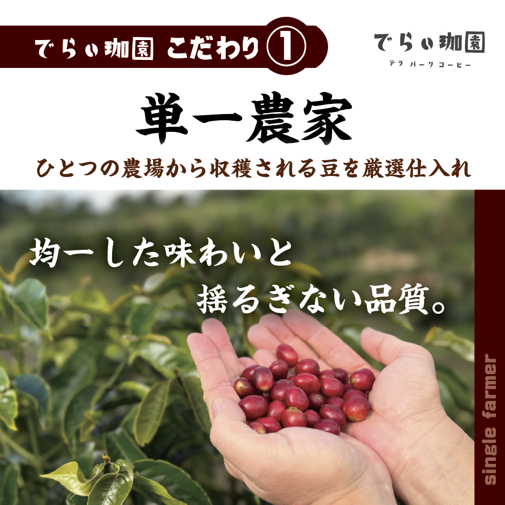 �ե����쥹 ����� ����ǥ� �ʥ�����