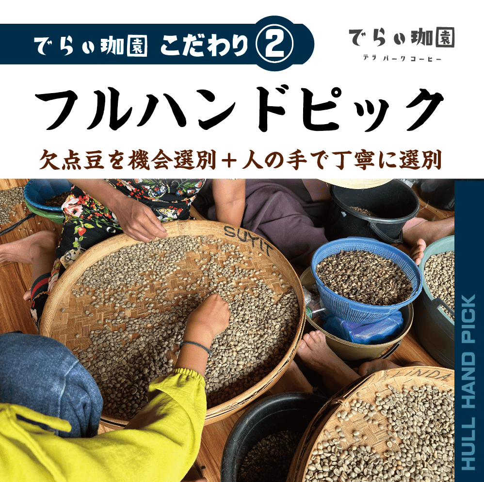 �ե����쥹 ����� ����ǥ� �ʥ�����