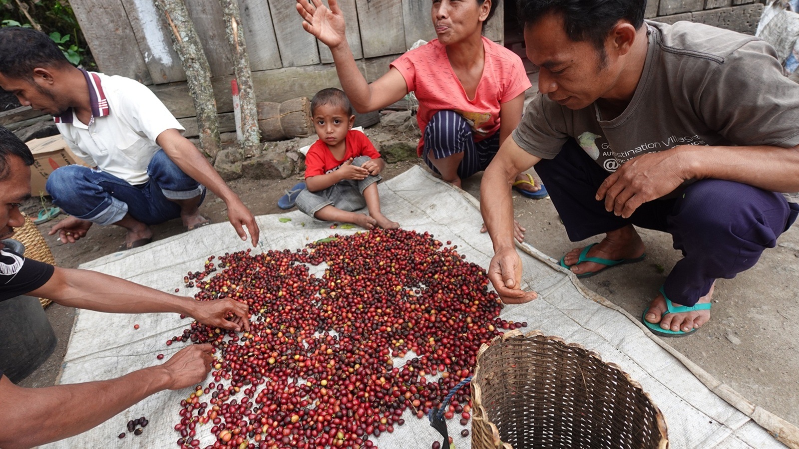 �ե����쥹 ����� ����ǥ� �ʥ�����