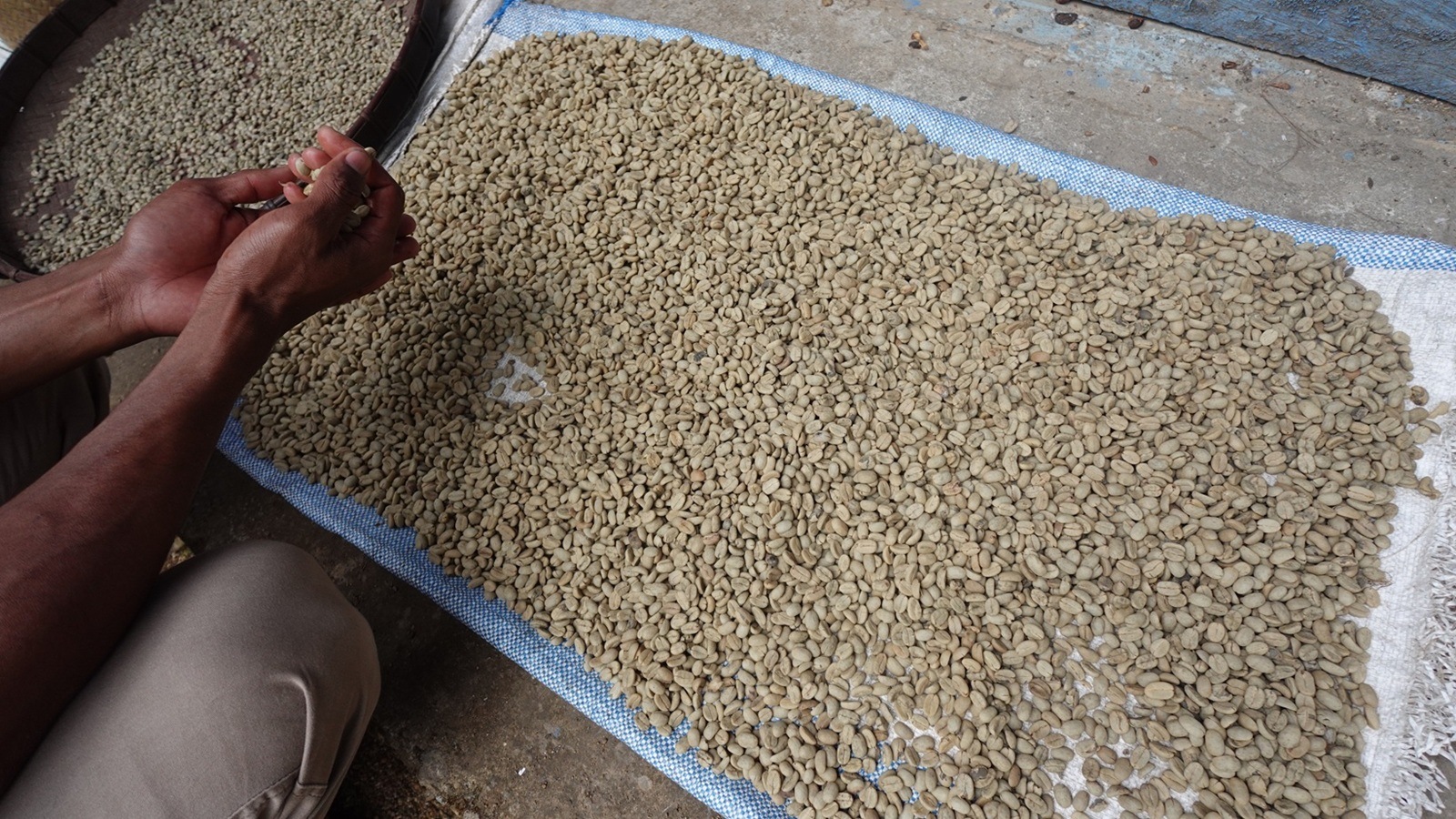 �ե����쥹 ����� ����ǥ� �ʥ�����