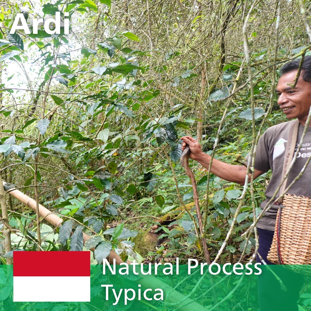 �ե����쥹 ����� ����ǥ� �ʥ�����