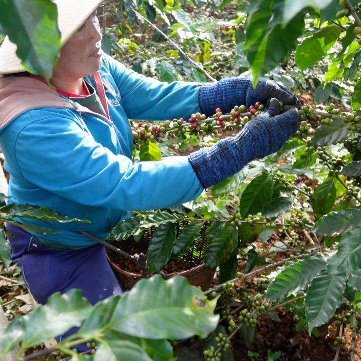 �����̲��ʡ�ú�������ɥ�åץХå������ҡ�10�ޡ�100��