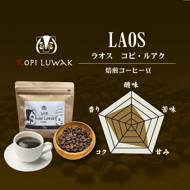 �ڥ��եȻ��͡����٤륳���ҡ�Ʀ������٥��å� ������̵����