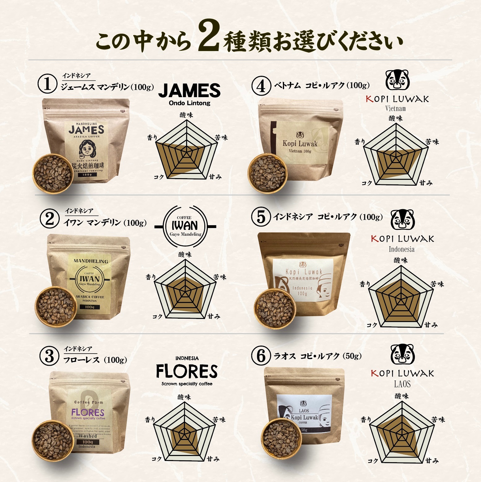 �ڥ��եȻ��͡����٤륳���ҡ�Ʀ������٥��å� ������̵����