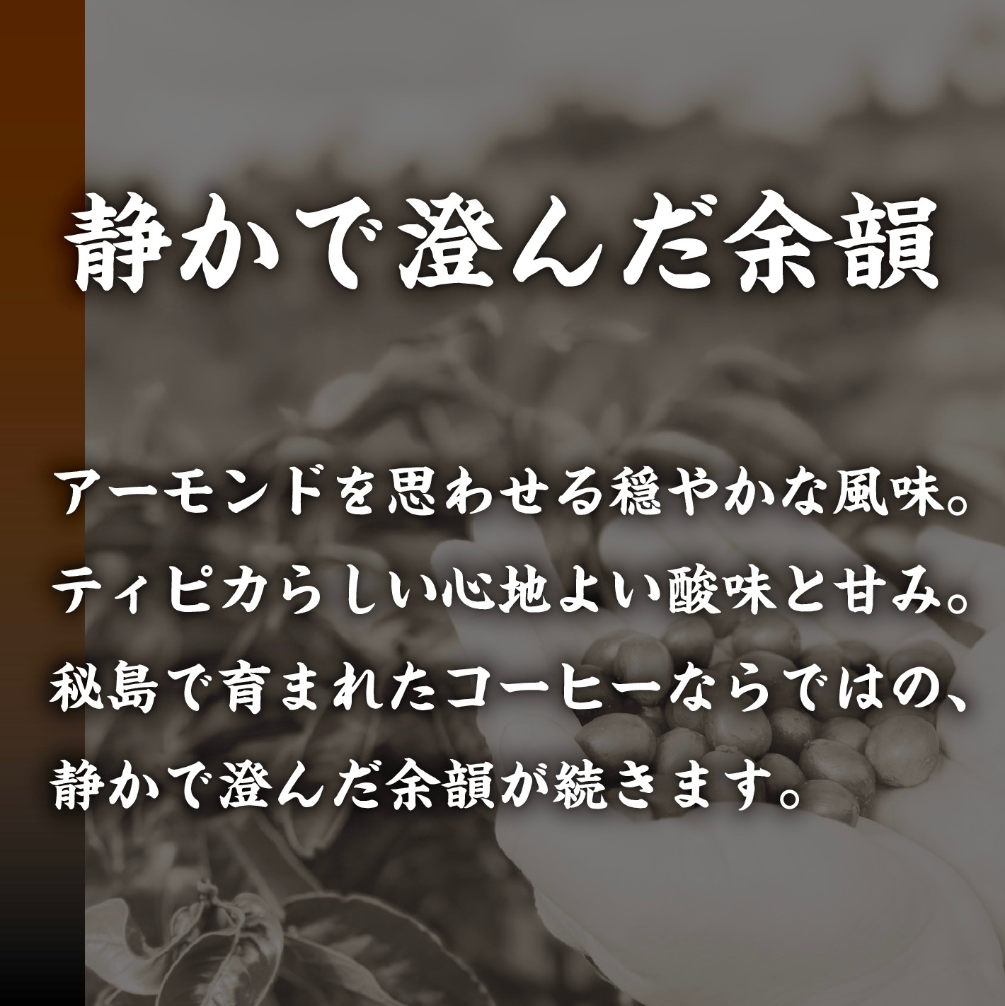 �ڥ᡼���ء����٤륳���ҡ�Ʀ������٥��å� ������̵����